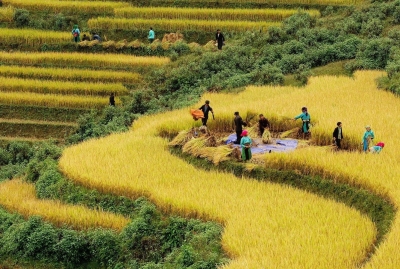 Dự thảo Luật Đất đai sửa đổi: Quy định cụ thể việc đảm bảo đất ở, đất sản xuất cho đồng bào dân tộc thiểu số